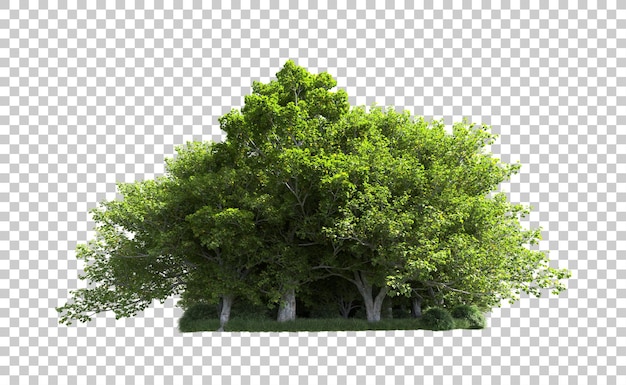Bosque verde aislado en el fondo Ilustración de renderización 3D