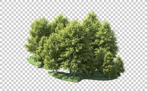 Bosque verde aislado en el fondo ilustración de renderización 3d