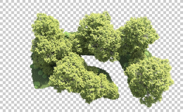 Bosque verde aislado en el fondo ilustración de renderización 3d