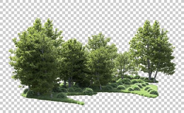 Bosque verde aislado en el fondo ilustración de renderización 3d