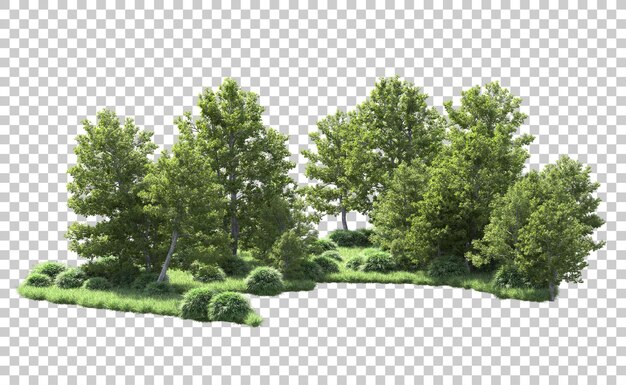 Bosque verde aislado en el fondo Ilustración de renderización 3D