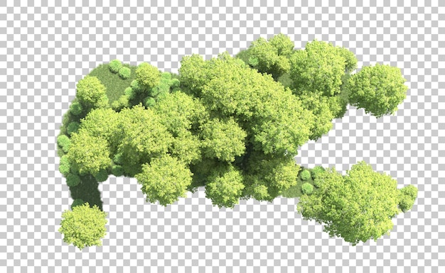 Bosque verde aislado en el fondo Ilustración de renderización 3D