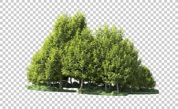 Bosque verde aislado en el fondo ilustración de renderización 3d