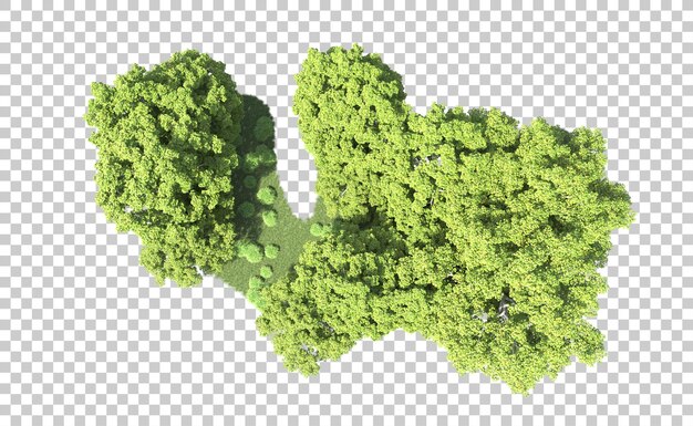 Bosque verde aislado en el fondo Ilustración de renderización 3D