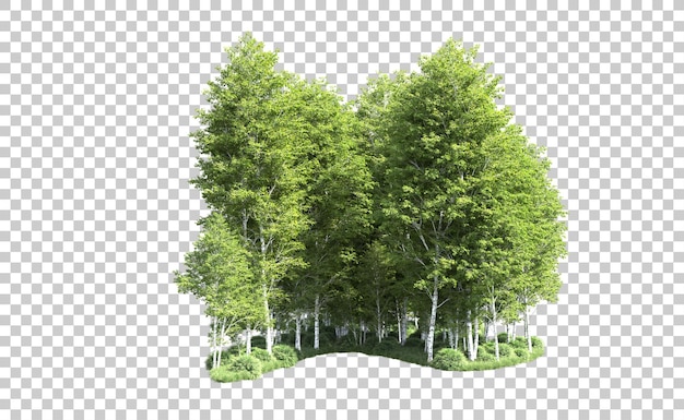 Bosque verde aislado en el fondo ilustración de renderización 3d