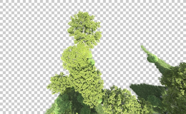 Bosque verde aislado en el fondo ilustración de renderización 3d