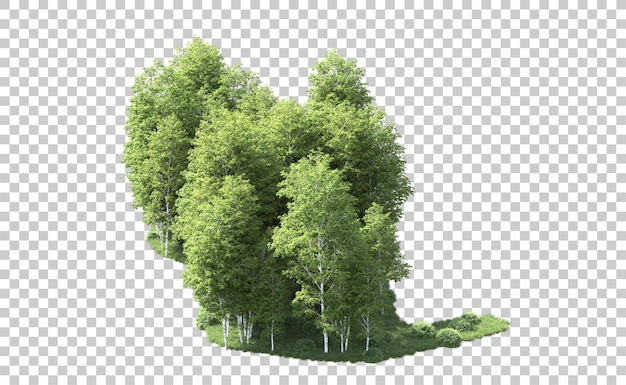 Bosque verde aislado en el fondo Ilustración de renderización 3D