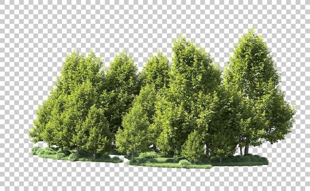 Bosque verde aislado en el fondo Ilustración de renderización 3D