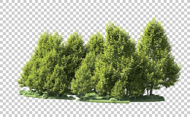 Bosque verde aislado en el fondo ilustración de renderización 3d