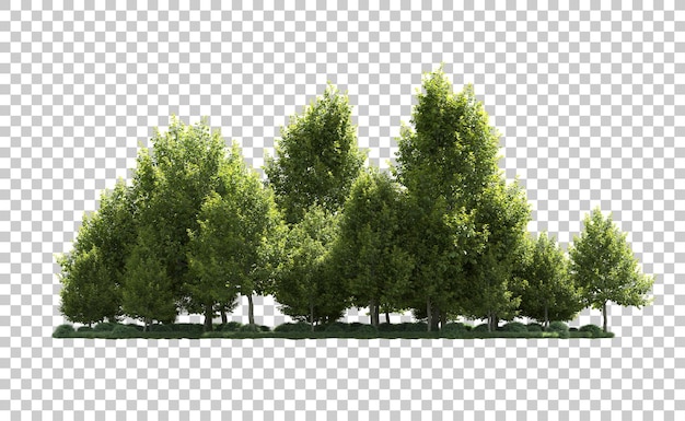 Bosque verde aislado en el fondo ilustración de renderización 3d