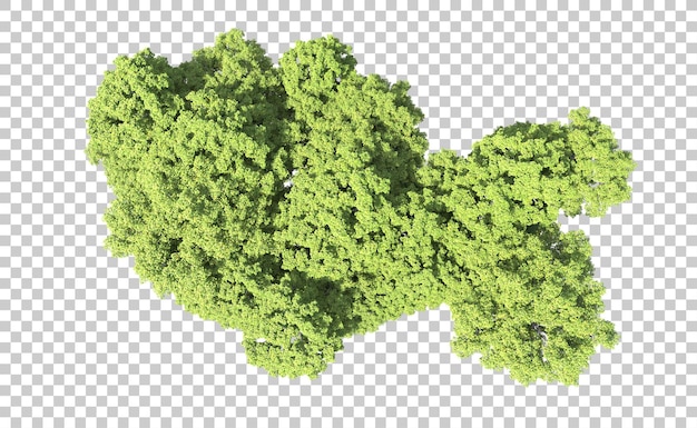 Bosque verde aislado en el fondo ilustración de renderización 3d