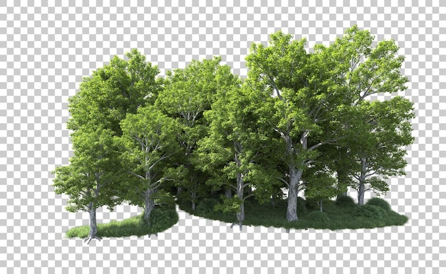 Bosque verde aislado en el fondo Ilustración de renderización 3D