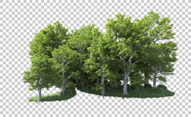 Bosque verde aislado en el fondo ilustración de renderización 3d