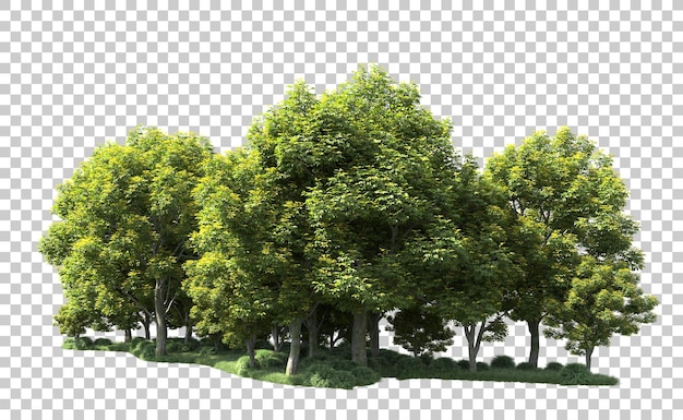 Bosque verde aislado en el fondo Ilustración de renderización 3D