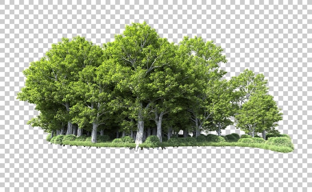 Bosque verde aislado en el fondo Ilustración de renderización 3D