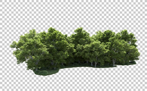 Bosque verde aislado en el fondo Ilustración de renderización 3D