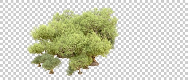 PSD bosque verde aislado en el fondo ilustración de renderización 3d