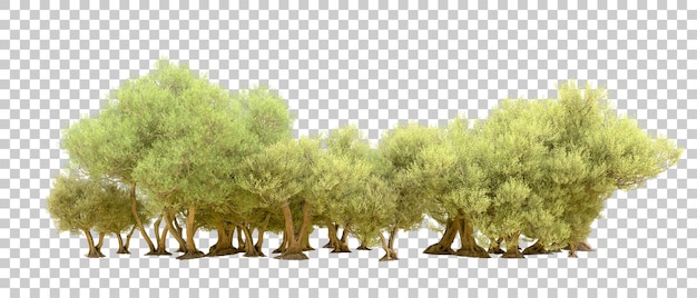 PSD bosque verde aislado en el fondo ilustración de renderización 3d