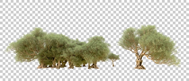 PSD bosque verde aislado en el fondo ilustración de renderización 3d