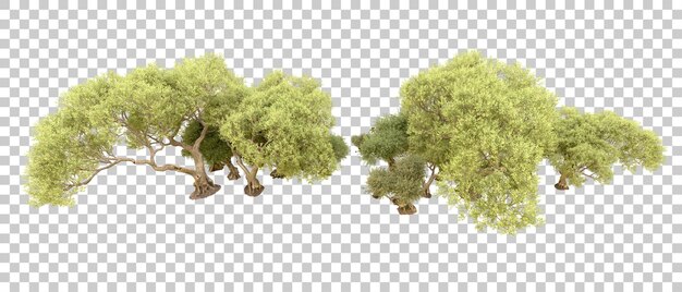 Bosque verde aislado en el fondo Ilustración de renderización 3D