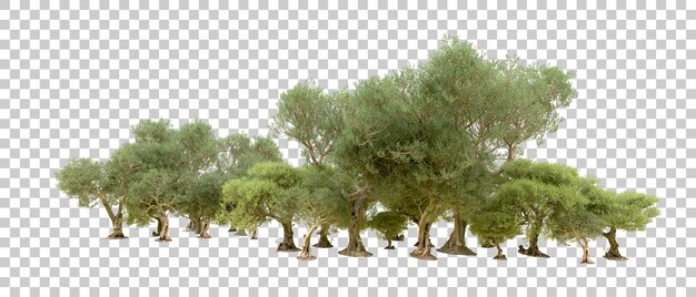 Bosque verde aislado en el fondo Ilustración de renderización 3D