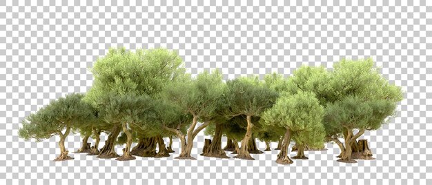 Bosque verde aislado en el fondo Ilustración de renderización 3D