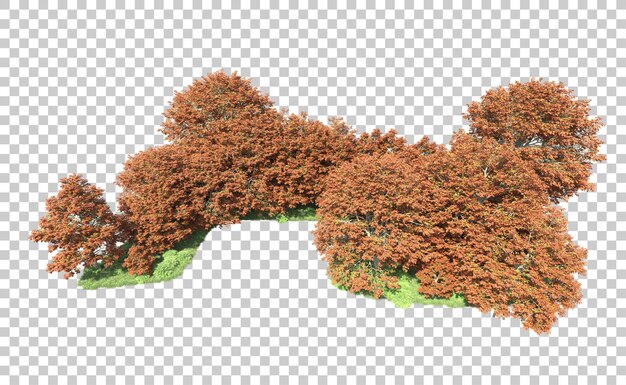 Bosque verde aislado en el fondo Ilustración de renderización 3D