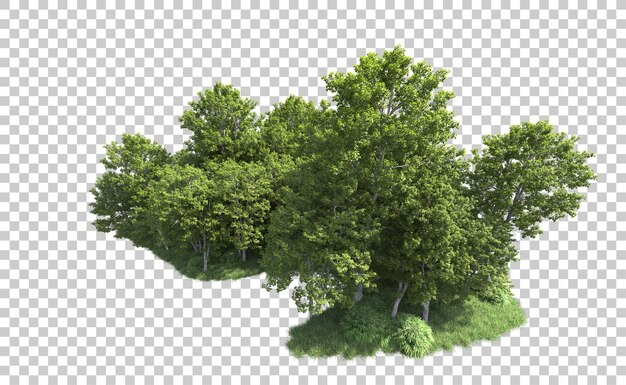 Bosque verde aislado en el fondo ilustración de renderización 3d