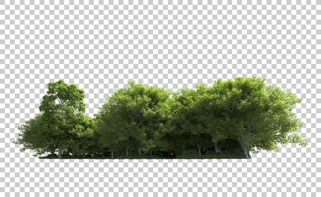 Bosque verde aislado en el fondo Ilustración de renderización 3D