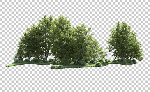 PSD bosque verde aislado en el fondo ilustración de renderización 3d