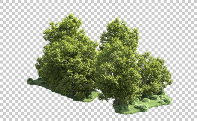 Bosque verde aislado en el fondo Ilustración de renderización 3D