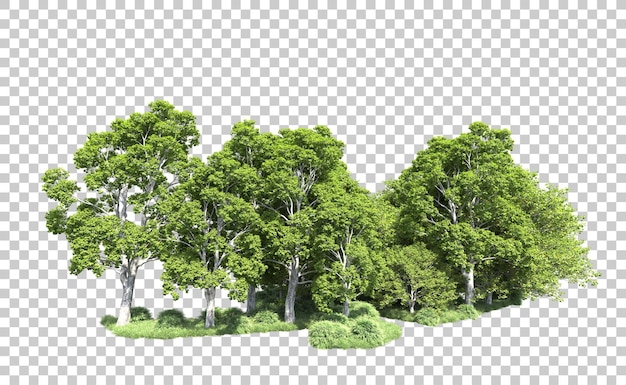 Bosque verde aislado en el fondo ilustración de renderización 3d