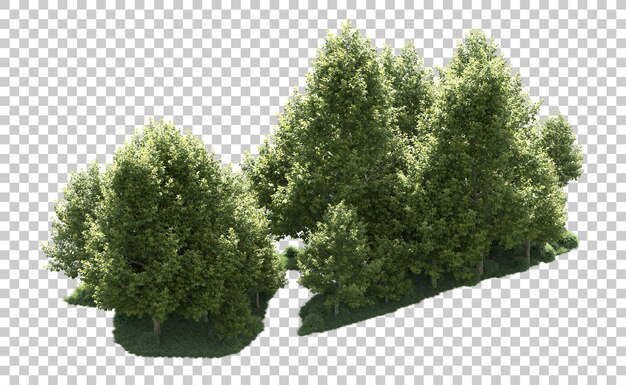 Bosque verde aislado en el fondo Ilustración de renderización 3D