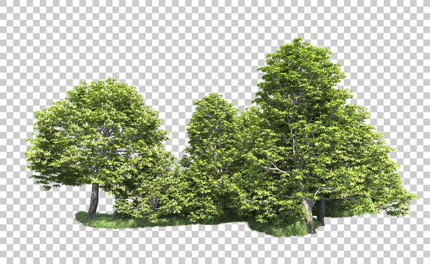 Bosque verde aislado en el fondo Ilustración de renderización 3D