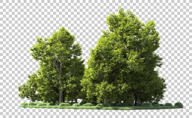 Bosque verde aislado en el fondo Ilustración de renderización 3D