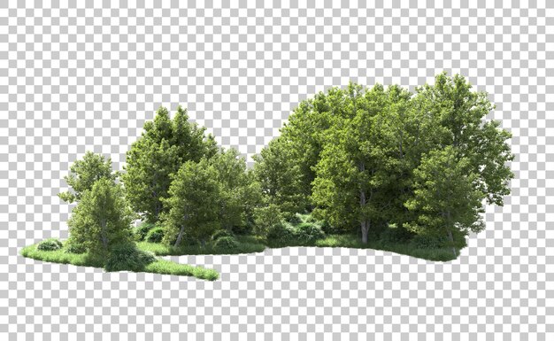 PSD bosque verde aislado en el fondo ilustración de renderización 3d