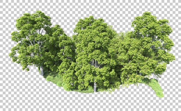 PSD bosque verde aislado en el fondo ilustración de renderización 3d