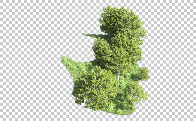 Bosque verde aislado en el fondo ilustración de renderización 3d