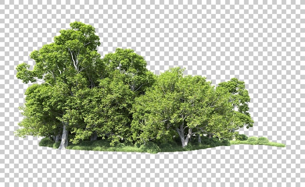 Bosque verde aislado en el fondo Ilustración de renderización 3D