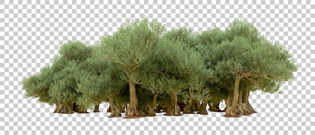 Bosque verde aislado en el fondo Ilustración de renderización 3D