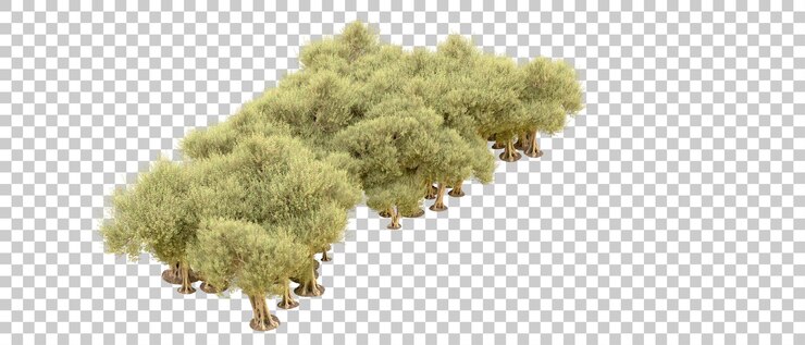 PSD bosque verde aislado en el fondo ilustración de renderización 3d