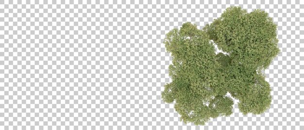Bosque verde aislado en el fondo Ilustración de renderización 3D