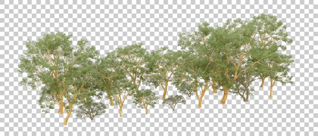 Bosque verde aislado en el fondo Ilustración de renderización 3D