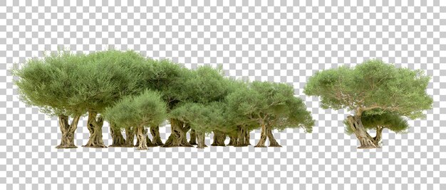 Bosque verde aislado en el fondo Ilustración de renderización 3D