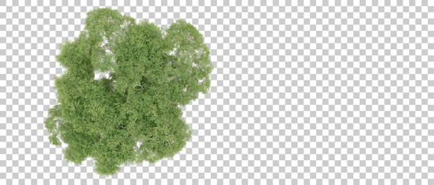 Bosque verde aislado en el fondo Ilustración de renderización 3D