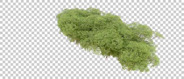 Bosque verde aislado en el fondo Ilustración de renderización 3D