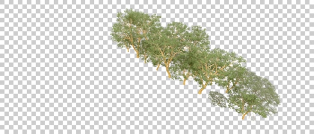 Bosque verde aislado en el fondo Ilustración de renderización 3D