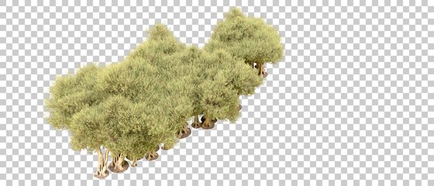 Bosque verde aislado en el fondo Ilustración de renderización 3D