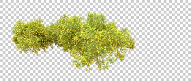 Bosque verde aislado en el fondo Ilustración de renderización 3D
