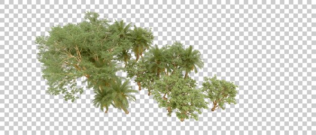 Bosque verde aislado en el fondo Ilustración de renderización 3D